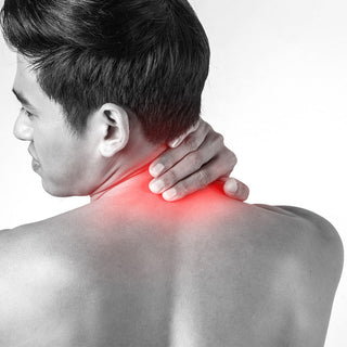 Which plants are useful against back pain?