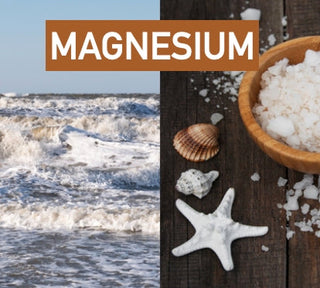 Do You Lack Magnesium?