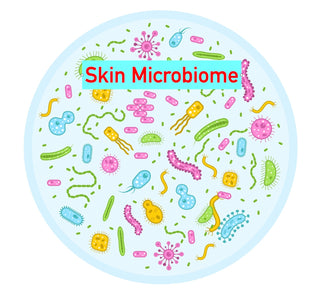 Skin Microbiome: How to Preserve, Support, and Restore