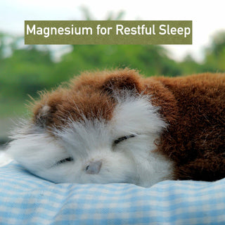 Magnesium for Restful Sleep