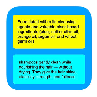 Shampoos Botanica Duo Set