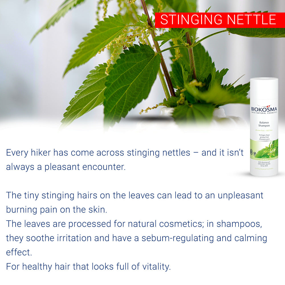 BIOKOSMA Shampoo balance nettle