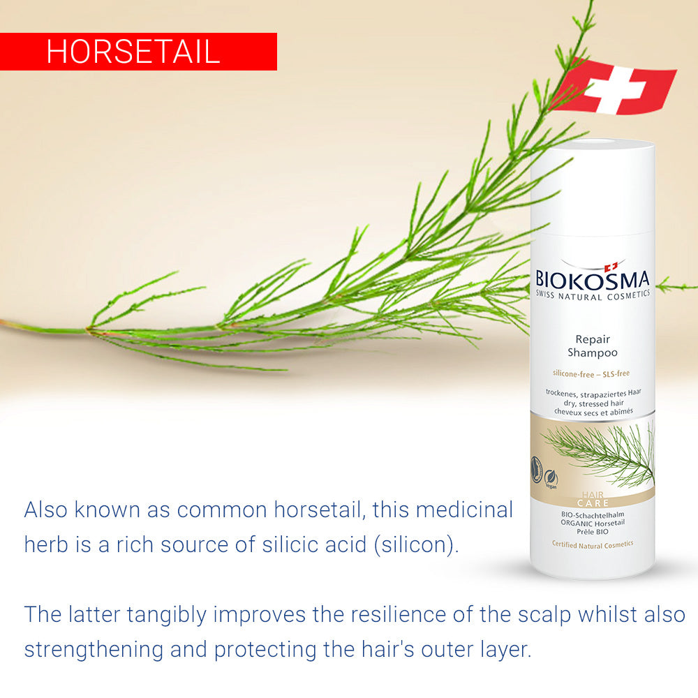 BIOKOSMA Shampoo Repair Organic Horsetail