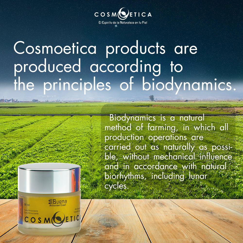 COSMOETICA Antioxidant Cream MiBuena