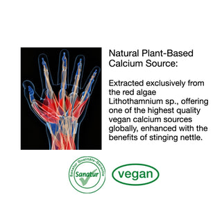 Calcium 100% herbal, 180 capsules