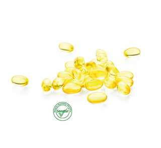 Fish oil (Omega-3 fatty acids) HEART FUNKTION, Sanatur, 120 capsules 85 g