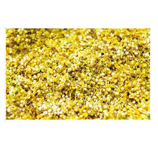 SPIRU®  B-Vitamin Complex (200 capsules) Set x2