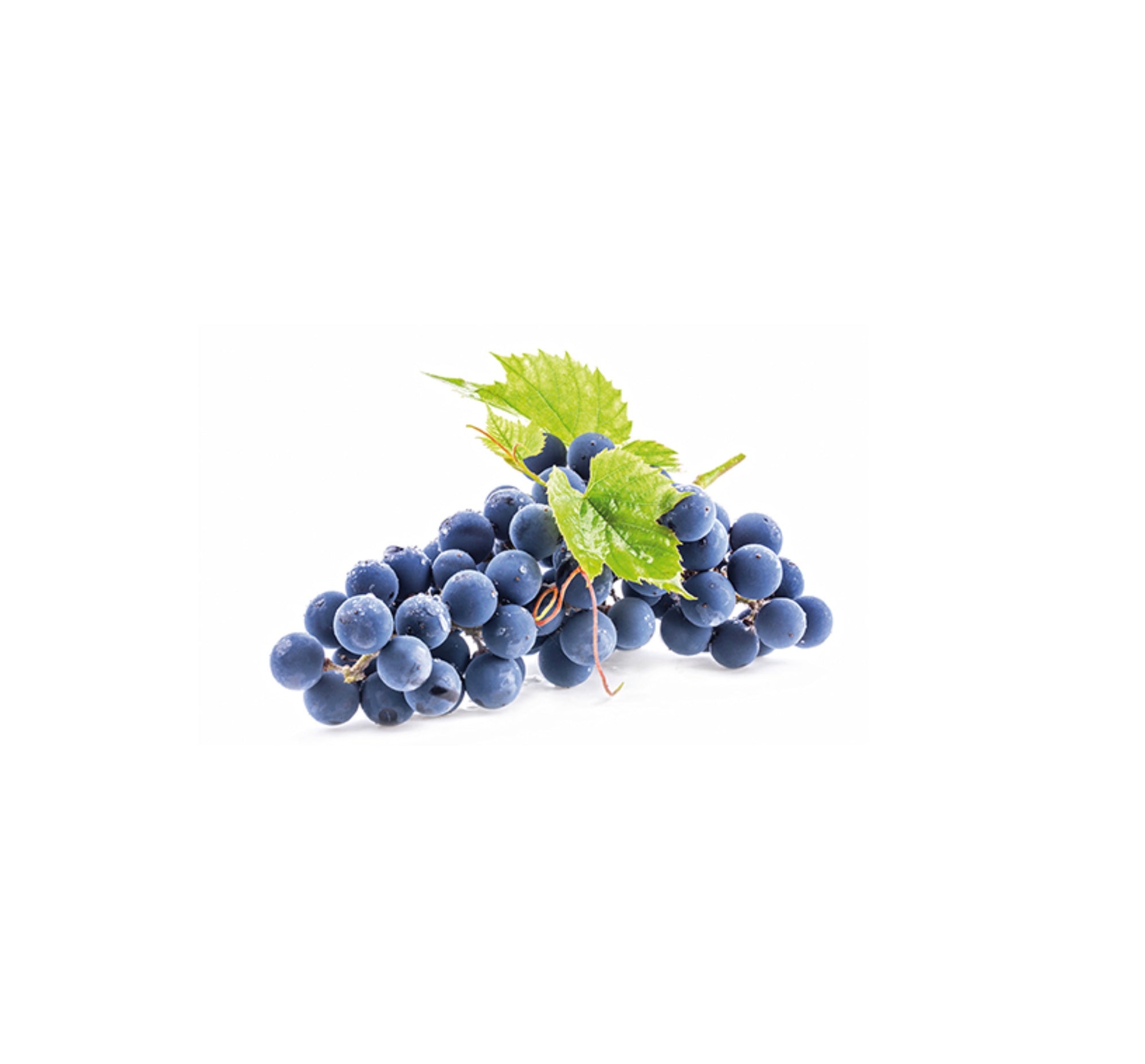 Grape seed OPC & Vitamin C 200 capsules (118 g)