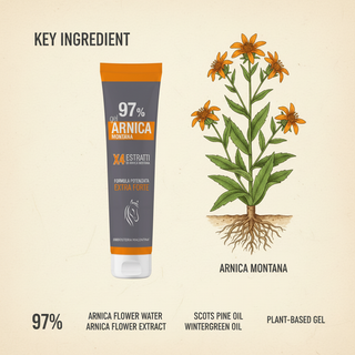 Arnica Gel 97% 100ml key ingredient infographic with an orange-flowering Arnica montana plant, Arnica flower water and extract, Scots Pine oil, and Wintergreen oil