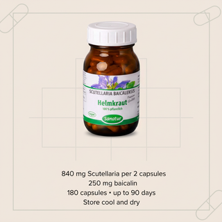 Sanatur Scutellaria Premium Extract with dosage and storage wording on an information-inspired background