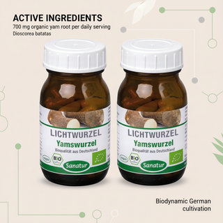 Sanatur Organic Yam Root Value Bundle with active ingredient wording on a clean organic background without capsules tablets or powder