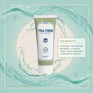 Tea Tree Cream key benefits visual with purifying and moisturising, balances and clarifies, fresh clean fragrance wording